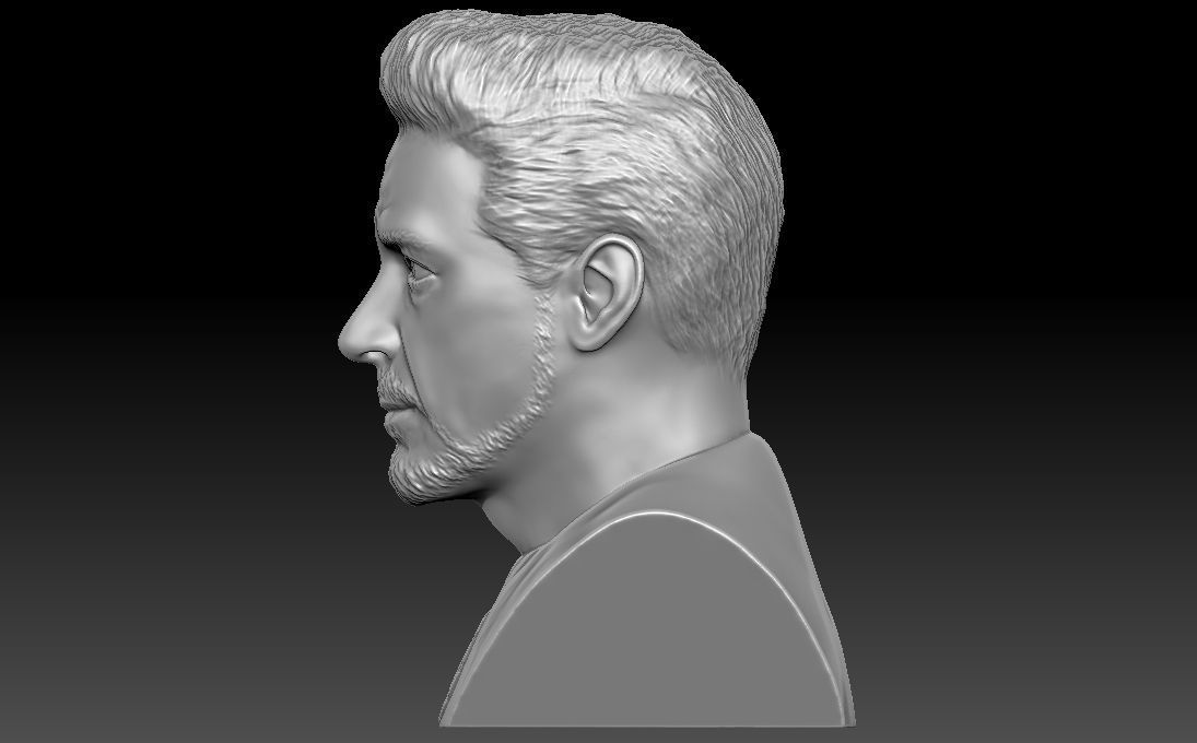 Tony Stark Robert Downey Jr Iron Man bust for 3D printing 3D print model_4