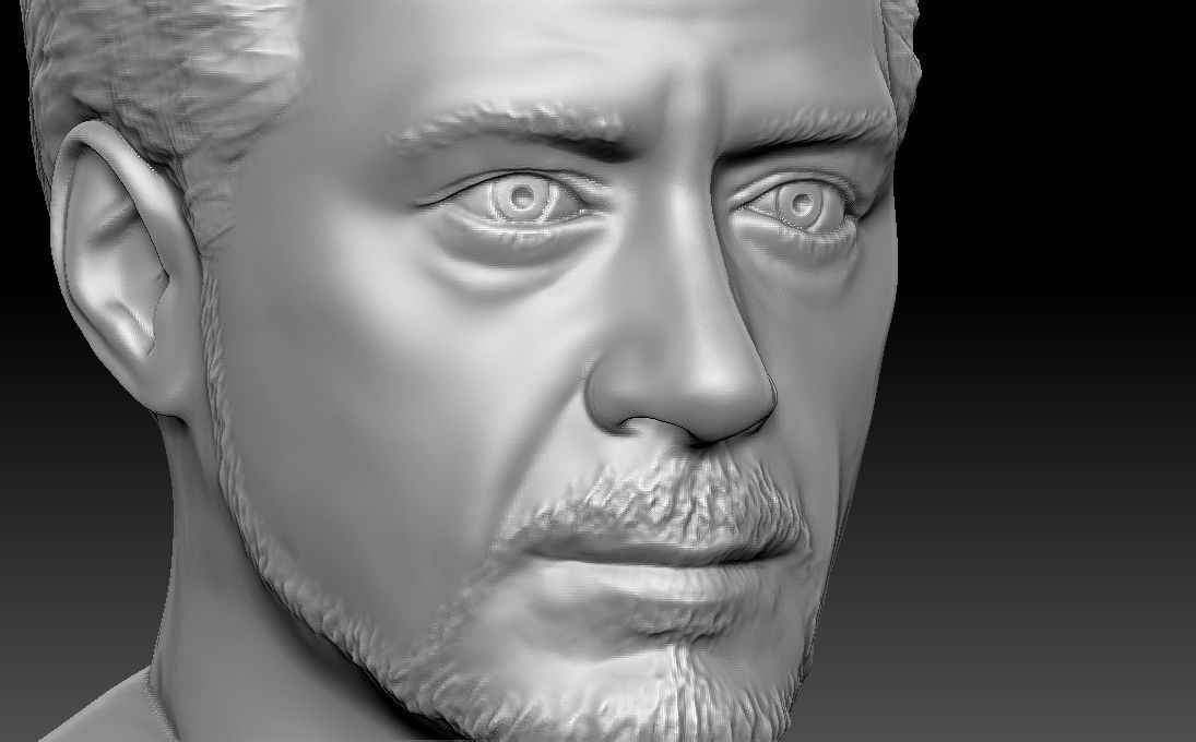Tony Stark Robert Downey Jr Iron Man bust for 3D printing 3D print model_14
