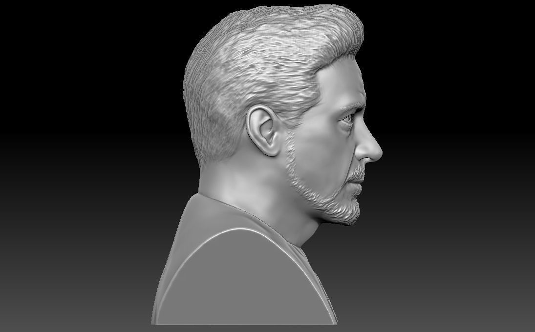 Tony Stark Robert Downey Jr Iron Man bust for 3D printing 3D print model_8