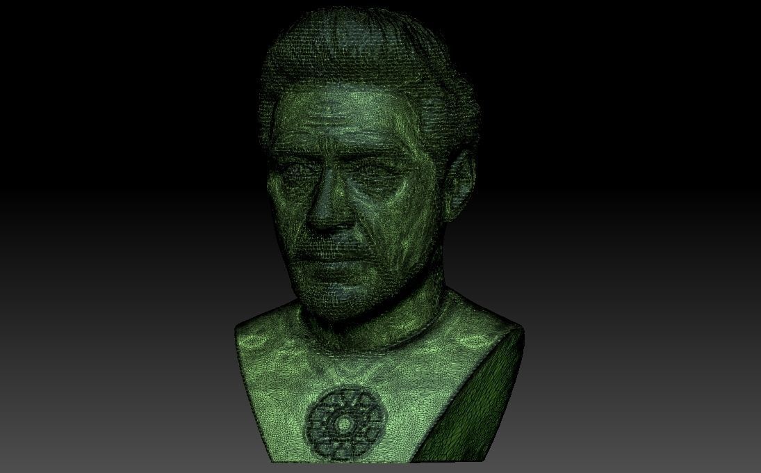 Tony Stark Robert Downey Jr Iron Man bust for 3D printing 3D print model_27