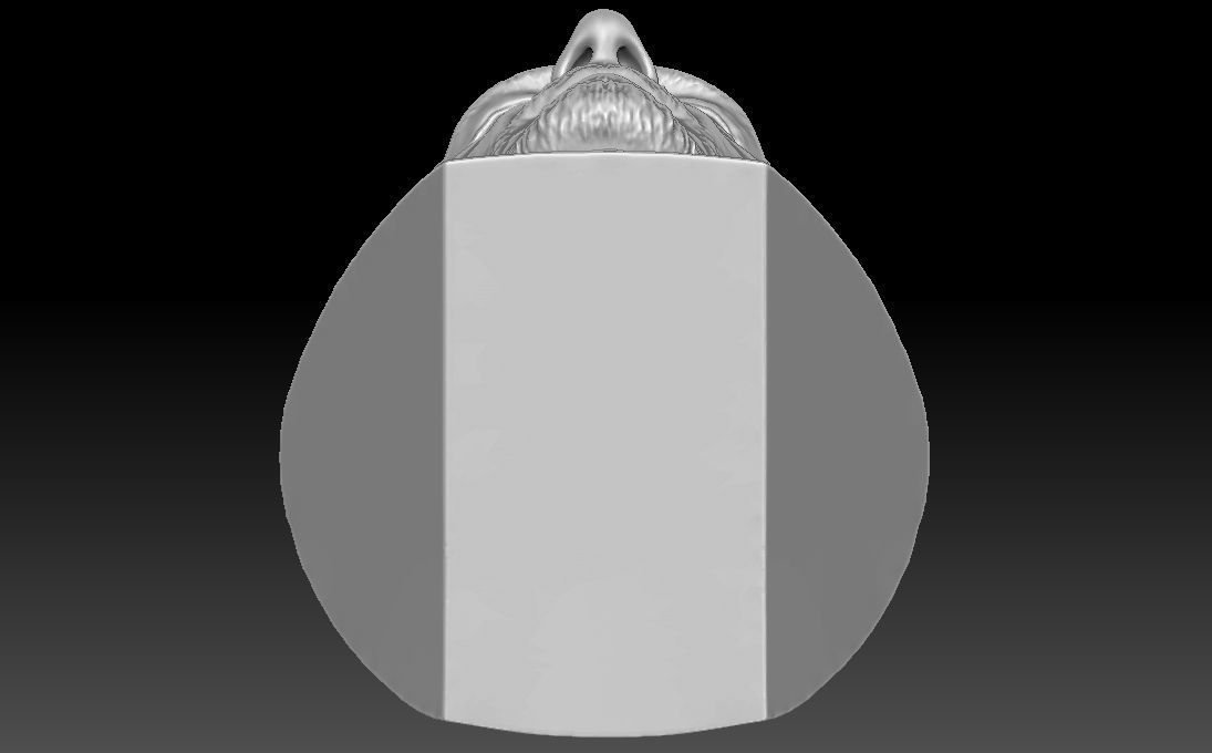 Tony Stark Robert Downey Jr Iron Man bust for 3D printing 3D print model_24