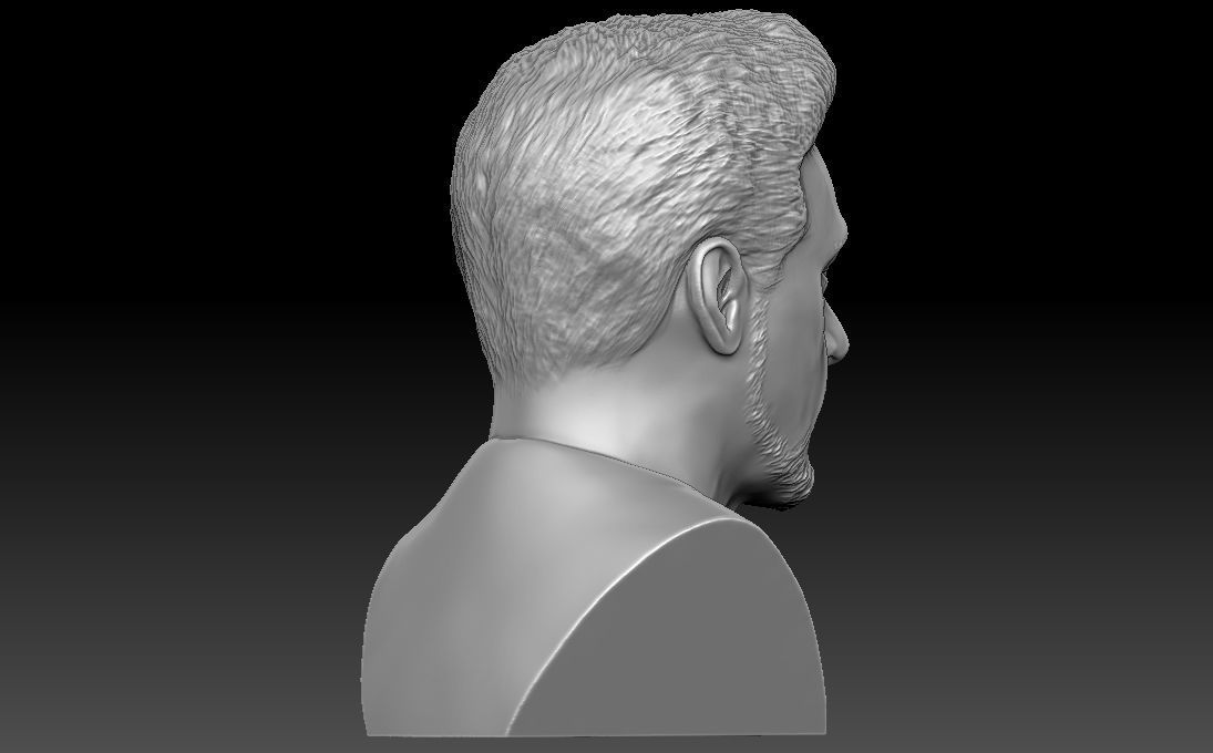 Tony Stark Robert Downey Jr Iron Man bust for 3D printing 3D print model_7