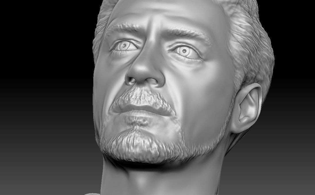 Tony Stark Robert Downey Jr Iron Man bust for 3D printing 3D print model_18