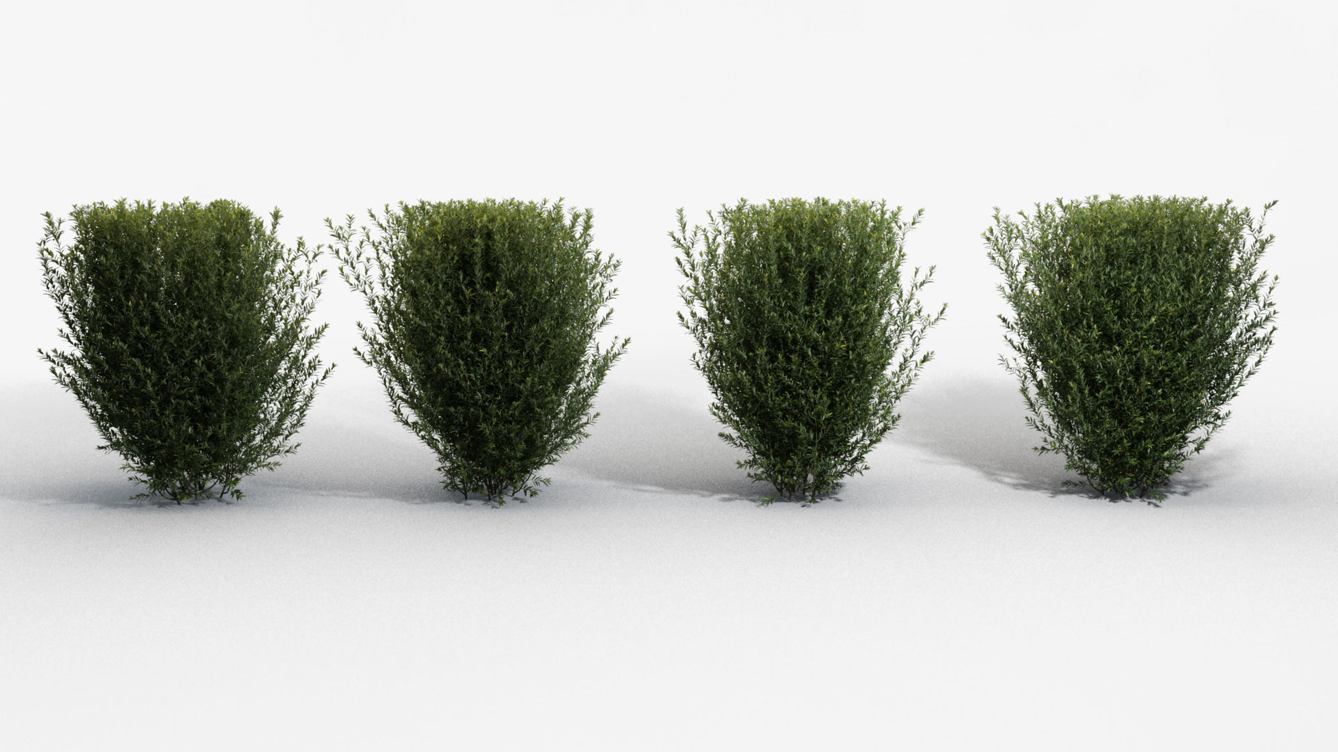 Trimmed Bushes V01 3D model_1