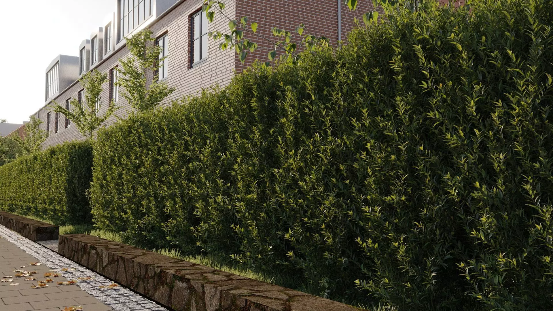 Trimmed Bushes V01 3D model_0