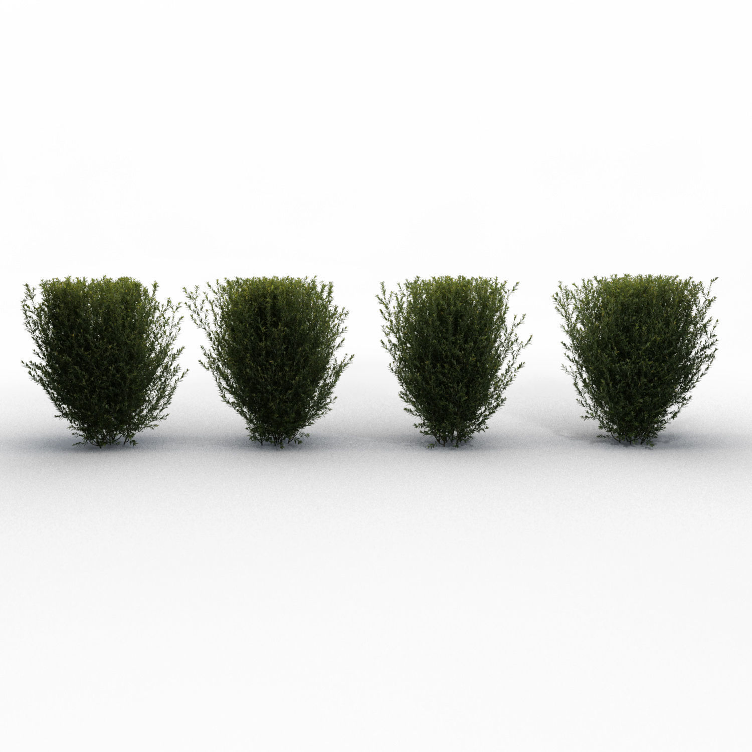 Trimmed Bushes V01 3D model_2