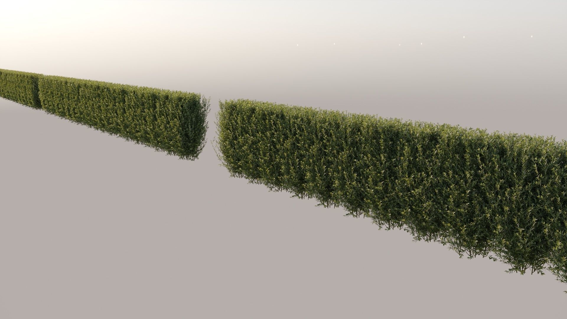 Trimmed Bushes V01 3D model_6