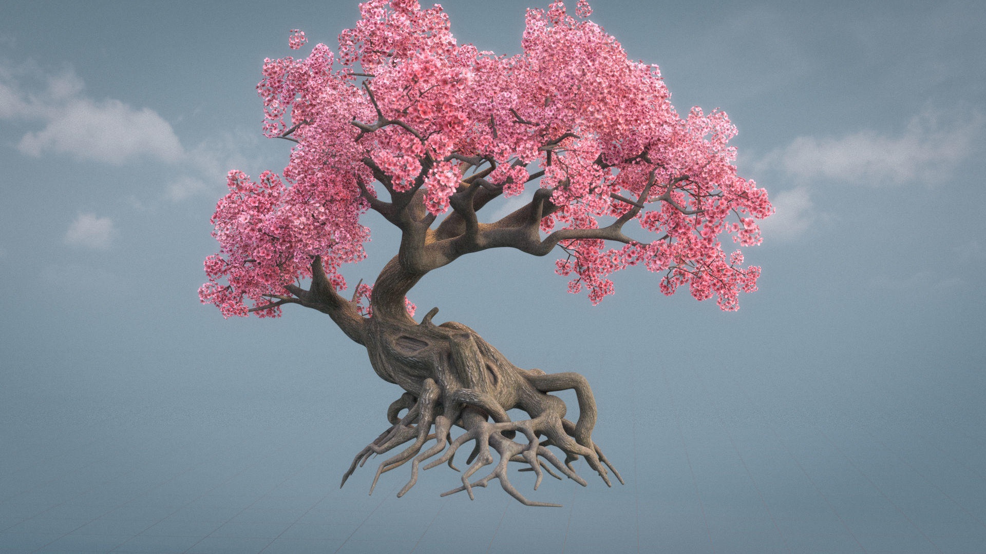 Ancient cherry blossoms or Sakura or Prunus Cerasus Low-poly 3D model_4