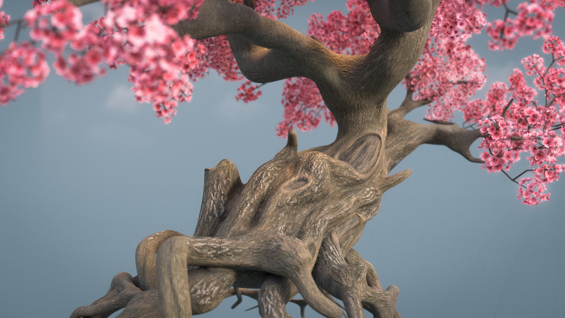 Ancient cherry blossoms or Sakura or Prunus Cerasus Low-poly 3D model_12