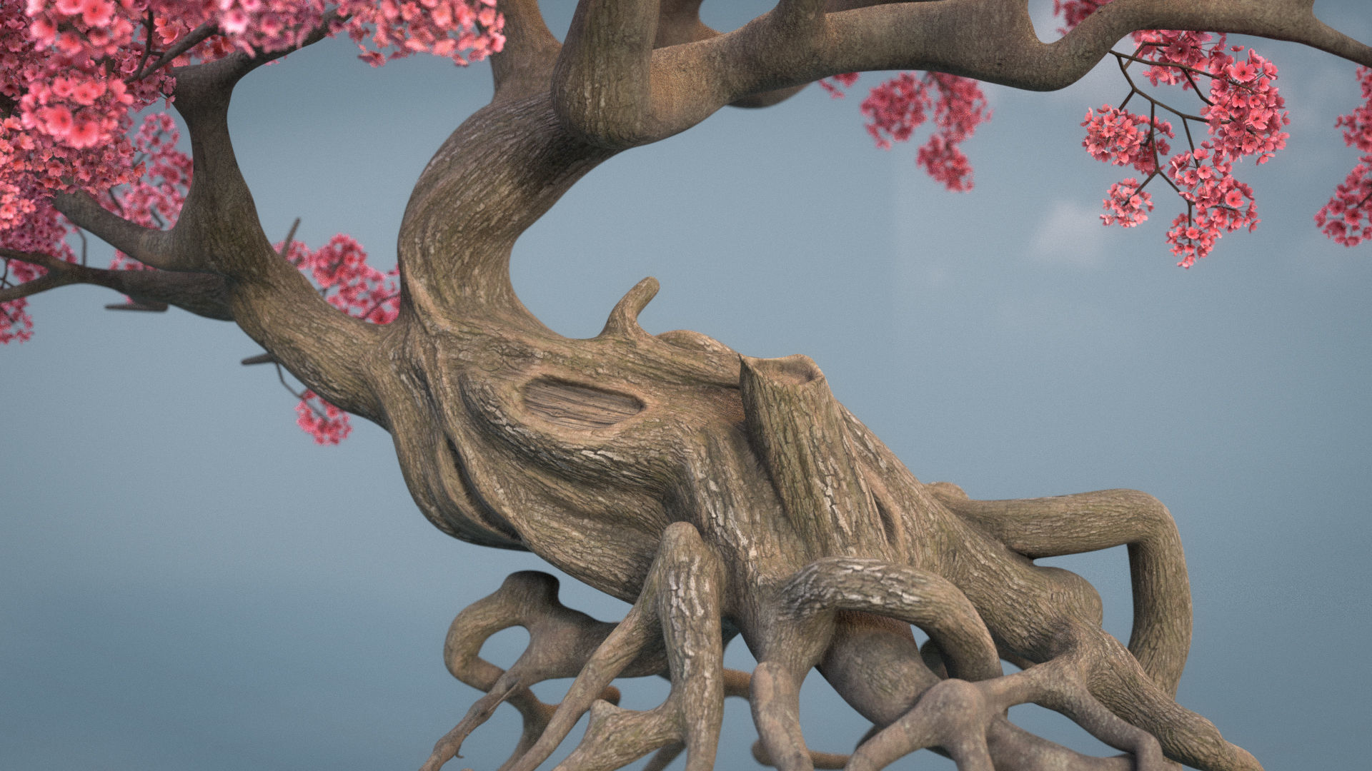 Ancient cherry blossoms or Sakura or Prunus Cerasus Low-poly 3D model_13