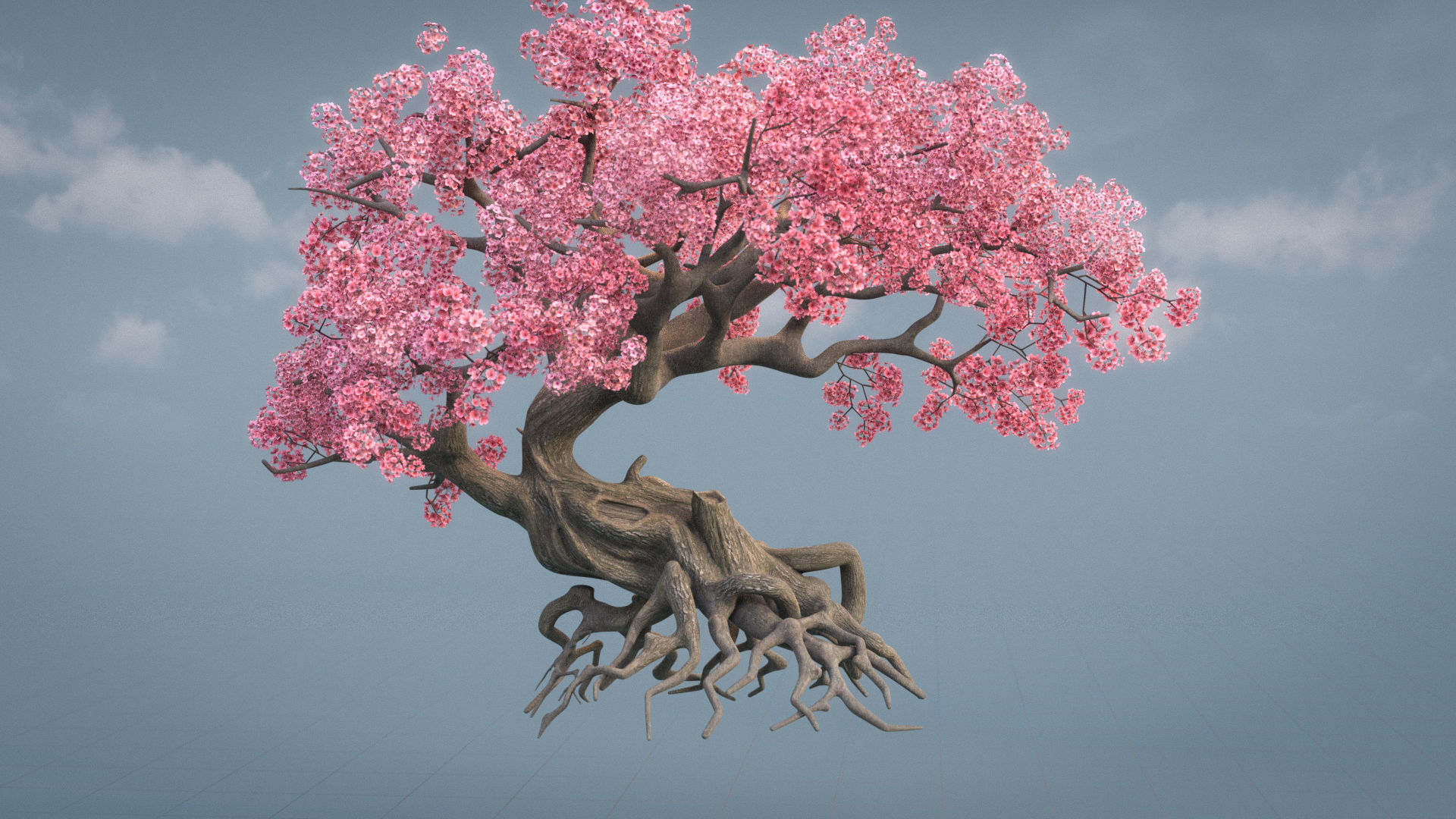 Ancient cherry blossoms or Sakura or Prunus Cerasus Low-poly 3D model_5