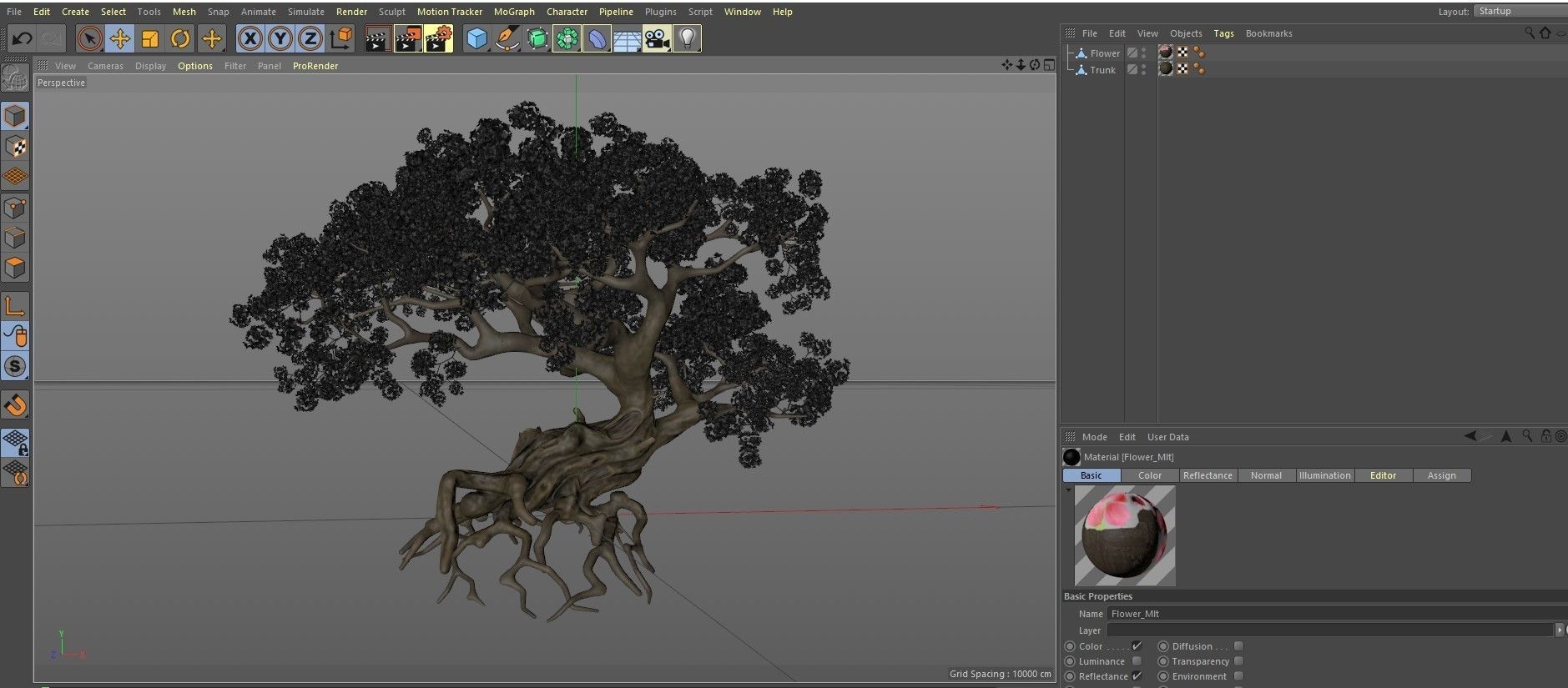 Ancient cherry blossoms or Sakura or Prunus Cerasus Low-poly 3D model_18