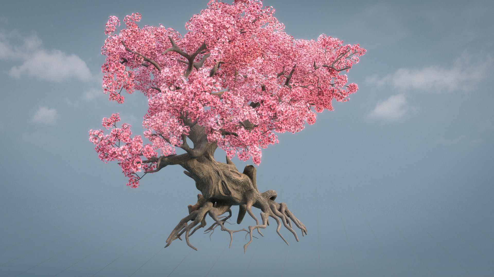 Ancient cherry blossoms or Sakura or Prunus Cerasus Low-poly 3D model_7