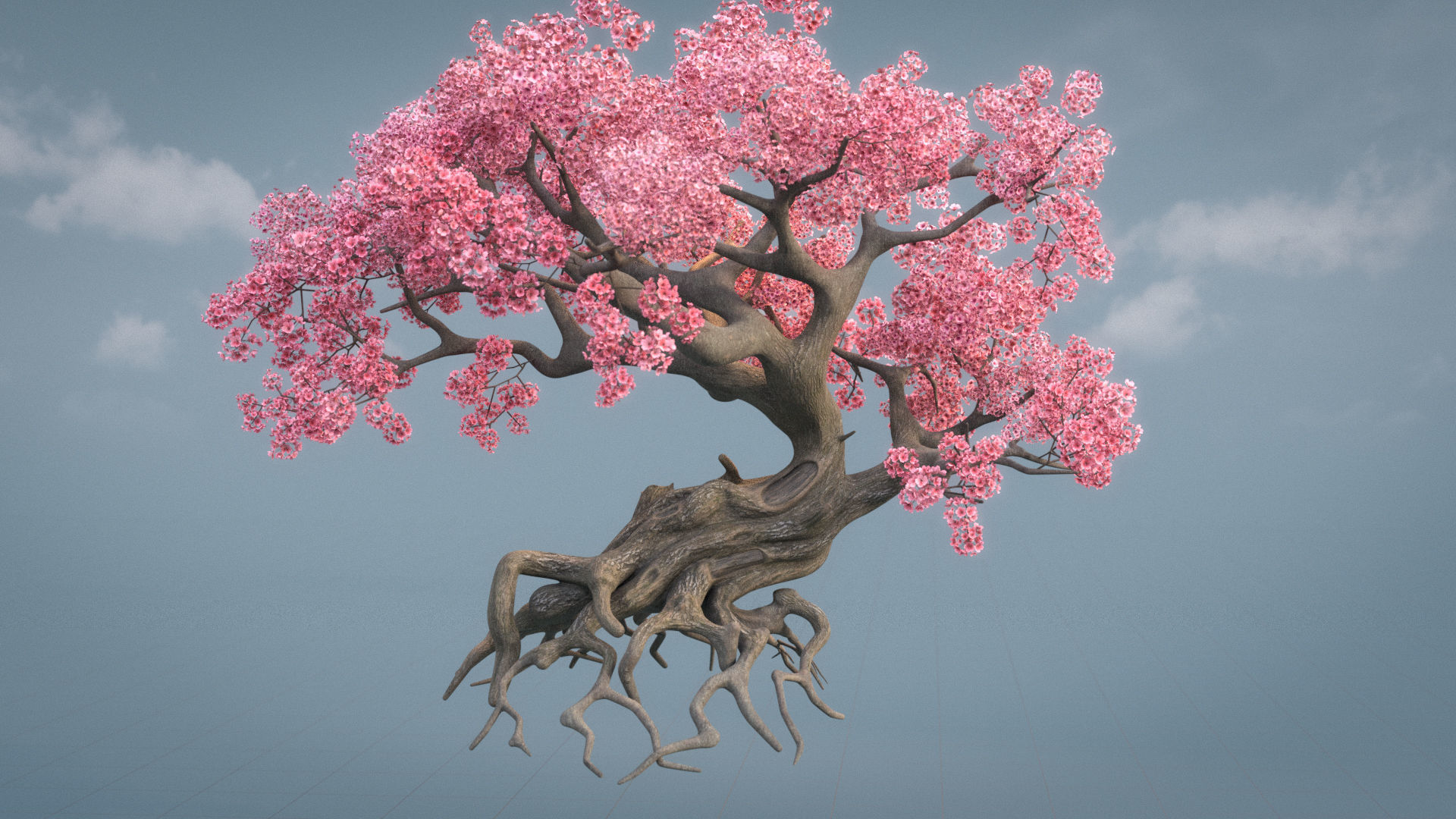 Ancient cherry blossoms or Sakura or Prunus Cerasus Low-poly 3D model_11