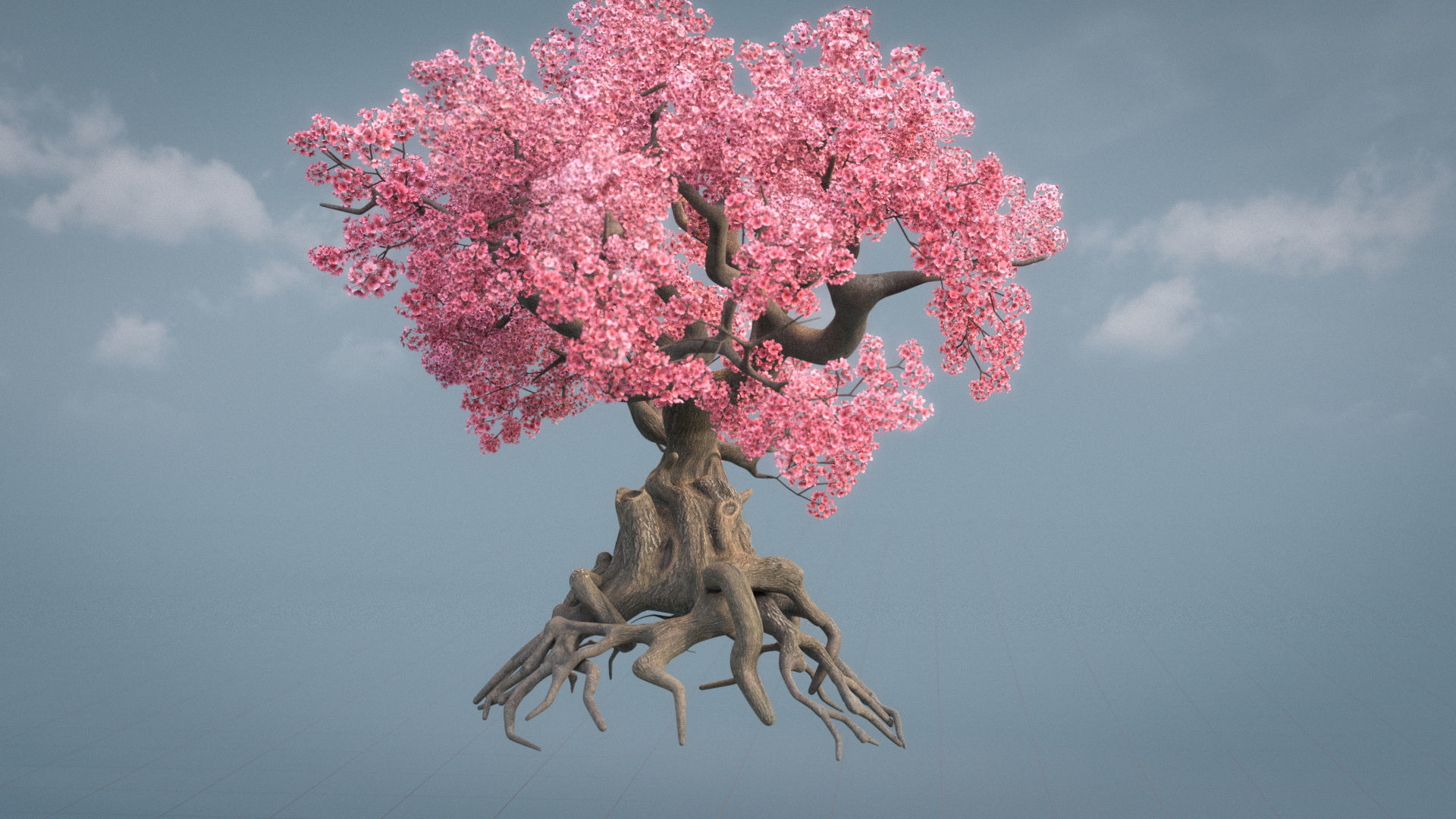 Ancient cherry blossoms or Sakura or Prunus Cerasus Low-poly 3D model_2