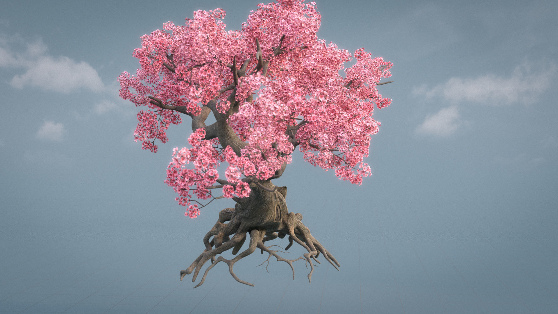 Ancient cherry blossoms or Sakura or Prunus Cerasus Low-poly 3D model_8