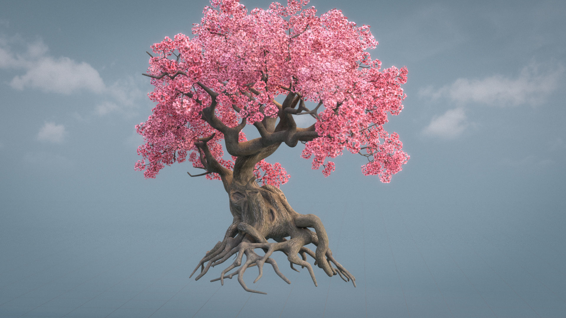 Ancient cherry blossoms or Sakura or Prunus Cerasus Low-poly 3D model_3