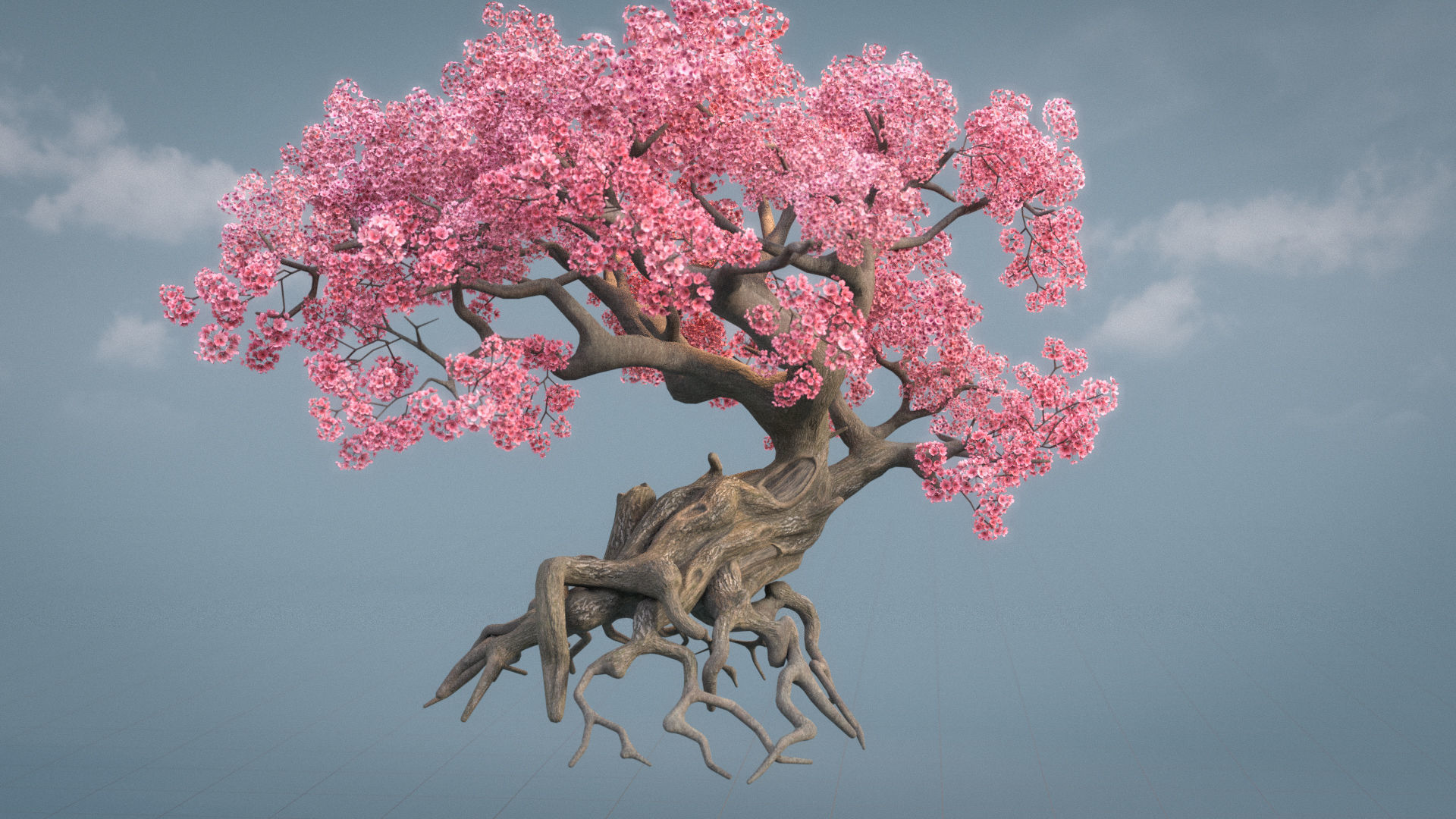 Ancient cherry blossoms or Sakura or Prunus Cerasus Low-poly 3D model_0