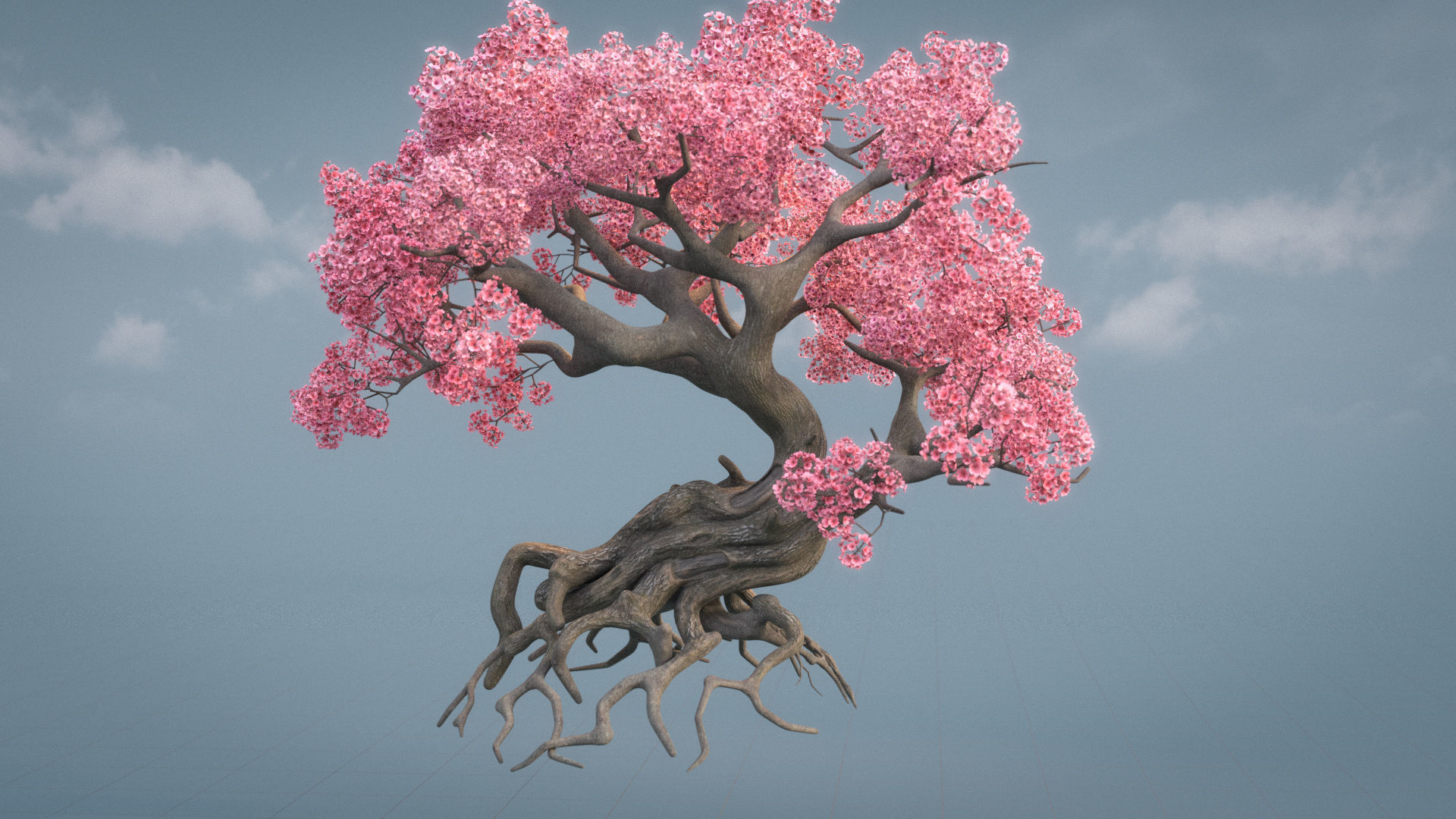 Ancient cherry blossoms or Sakura or Prunus Cerasus Low-poly 3D model_10