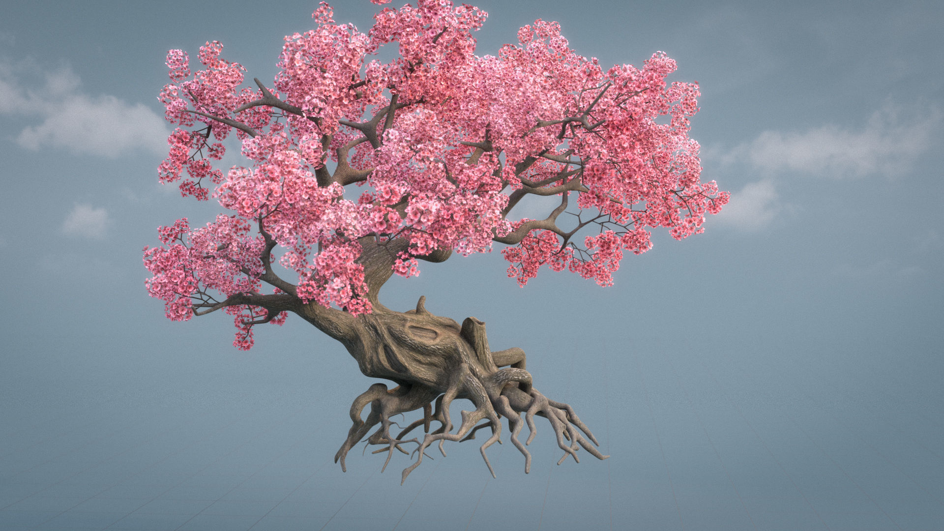 Ancient cherry blossoms or Sakura or Prunus Cerasus Low-poly 3D model_6