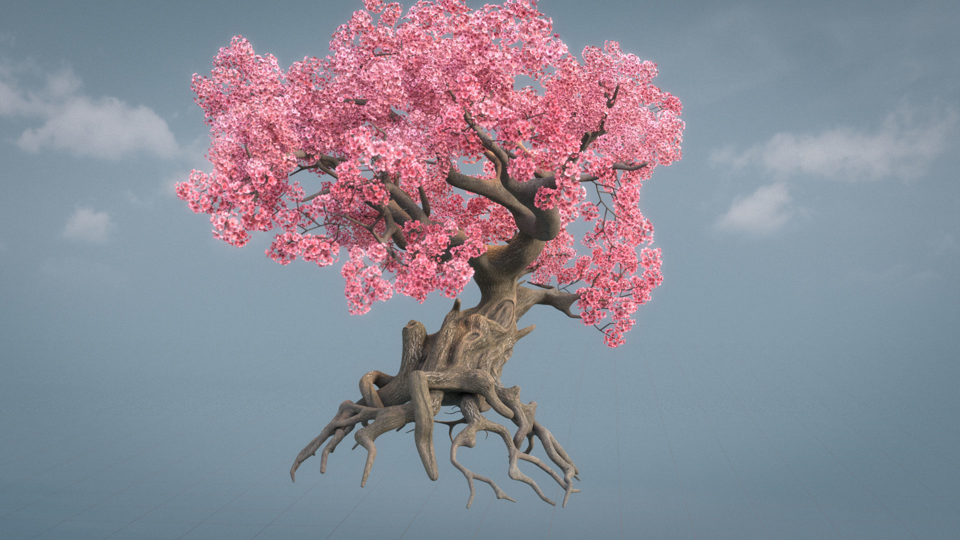Ancient cherry blossoms or Sakura or Prunus Cerasus Low-poly 3D model_1