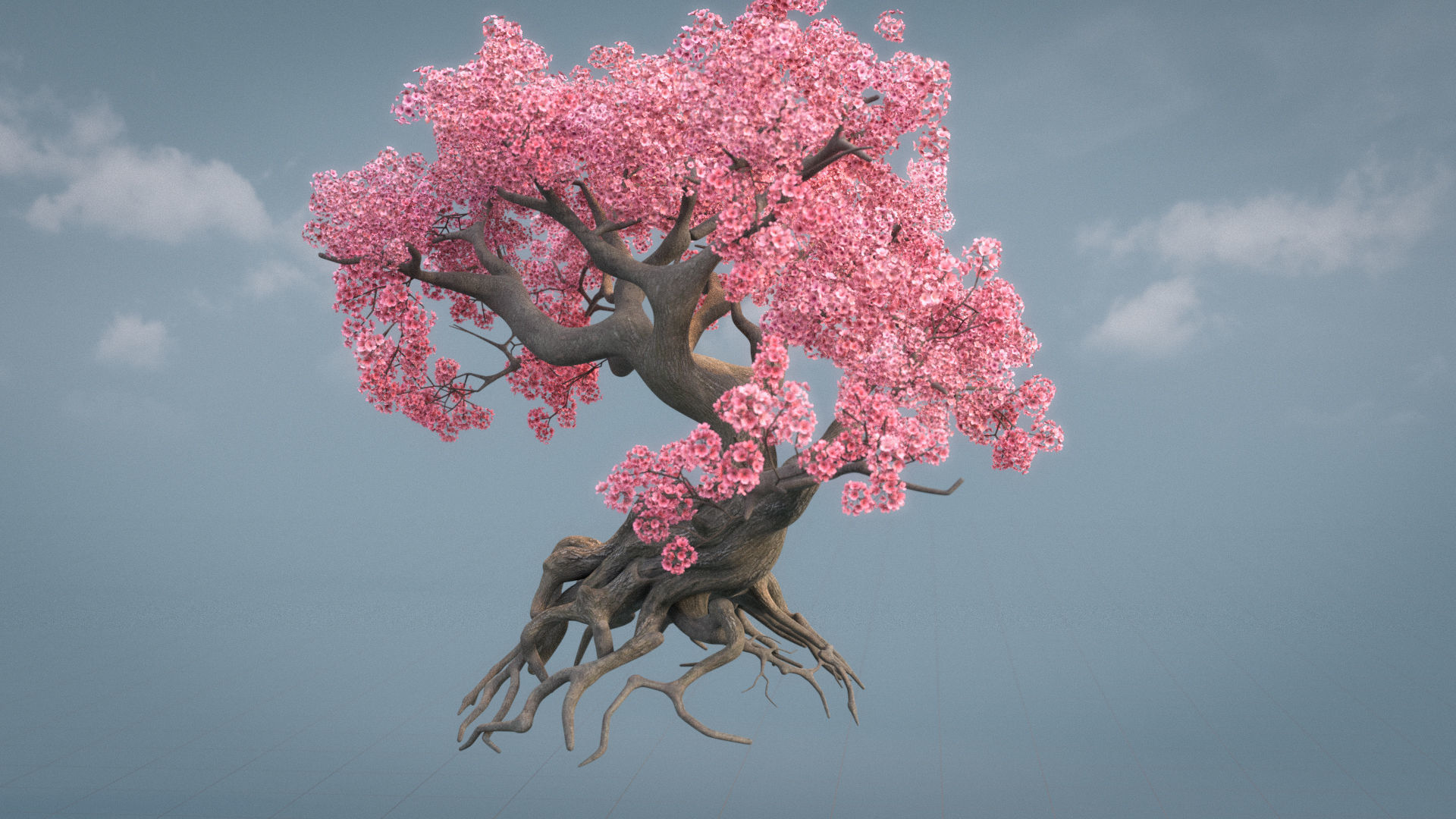 Ancient cherry blossoms or Sakura or Prunus Cerasus Low-poly 3D model_9