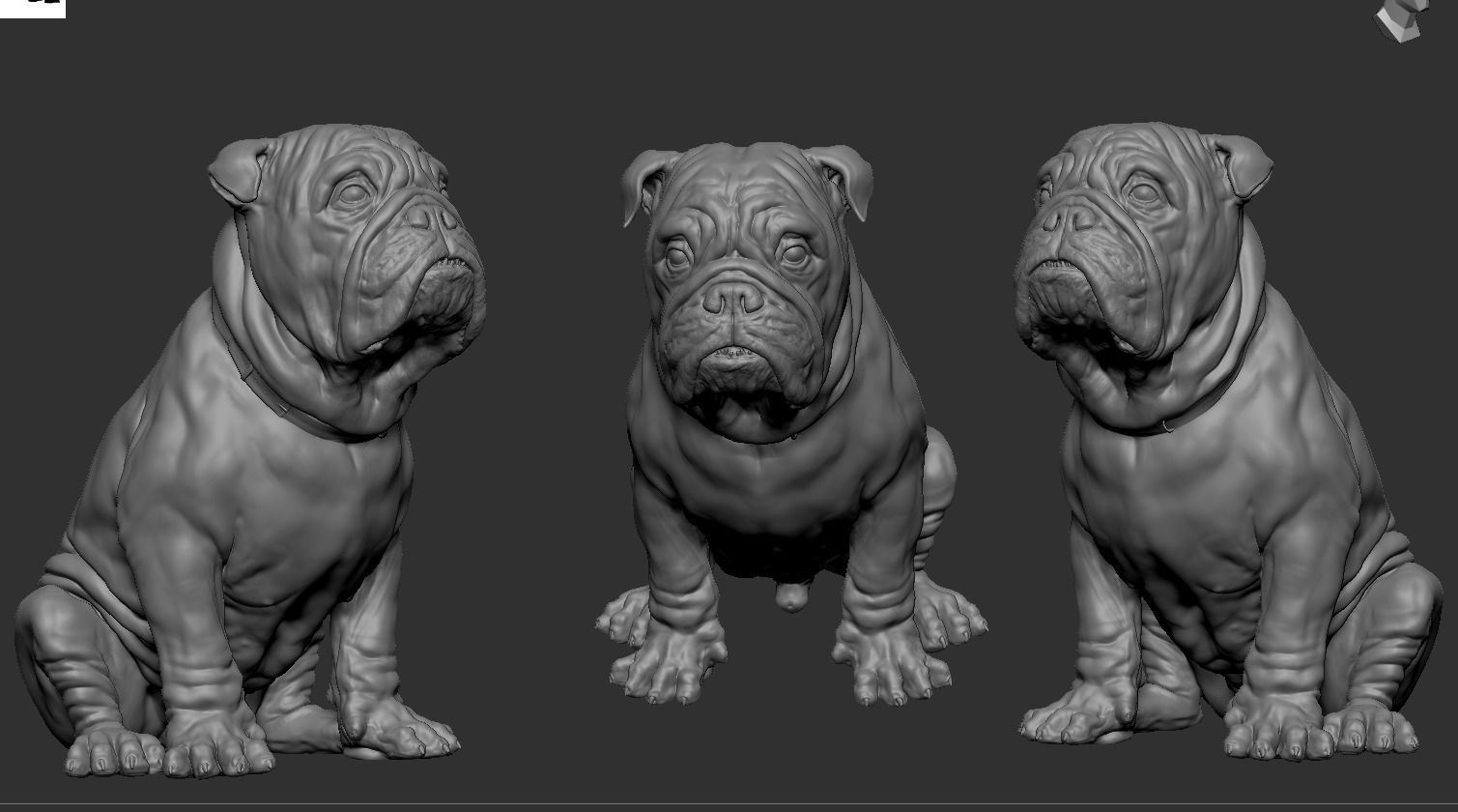 Bulldog 3D print model_14