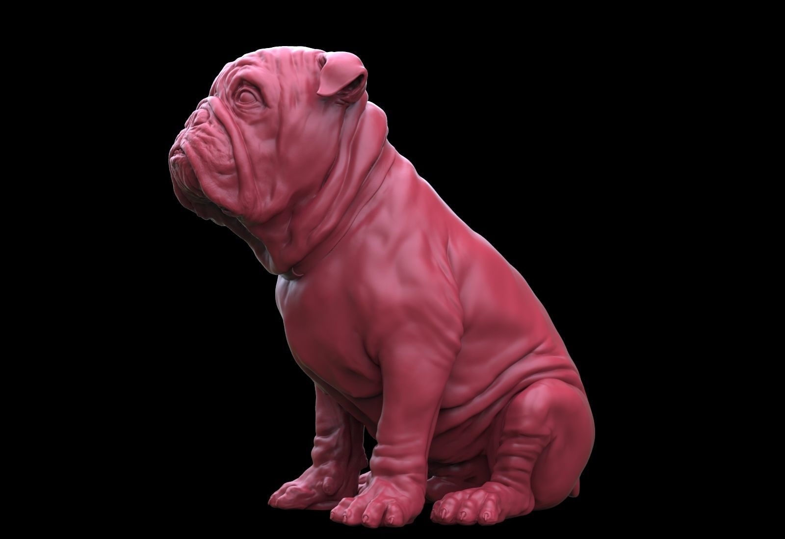 Bulldog 3D print model_3