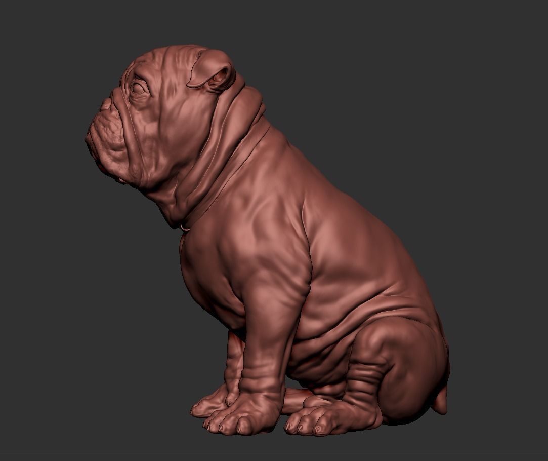 Bulldog 3D print model_8