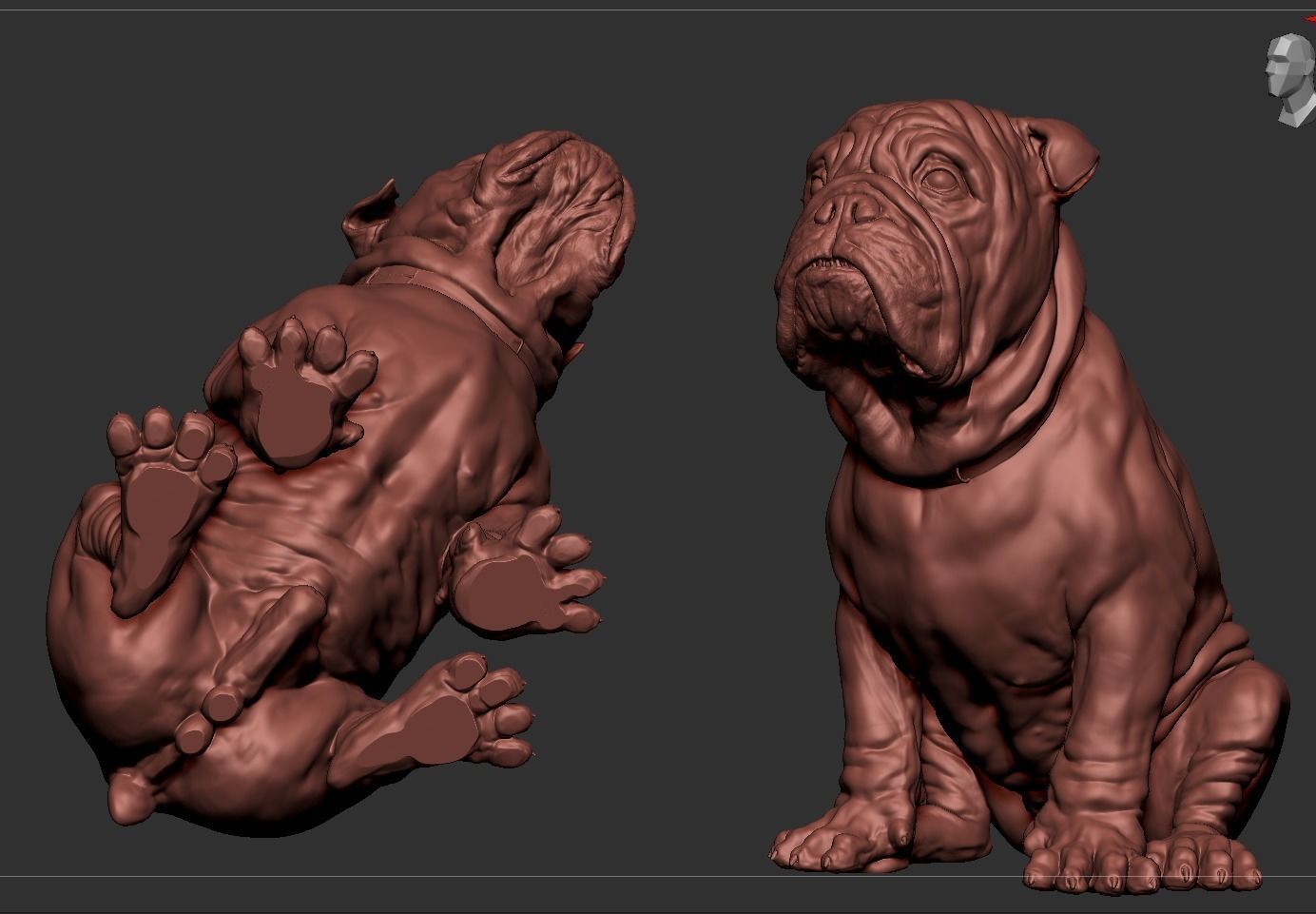 Bulldog 3D print model_13