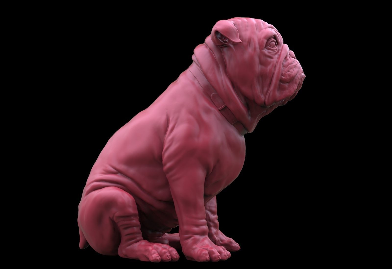 Bulldog 3D print model_2