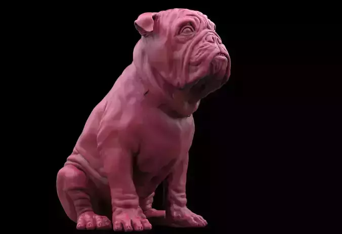 Bulldog 3D print model