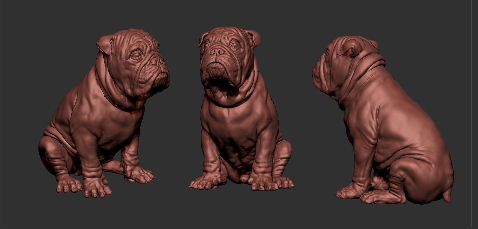 Bulldog 3D print model_12