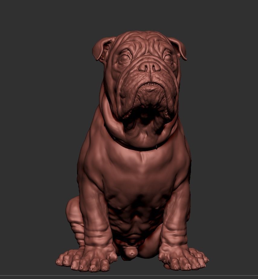 Bulldog 3D print model_6