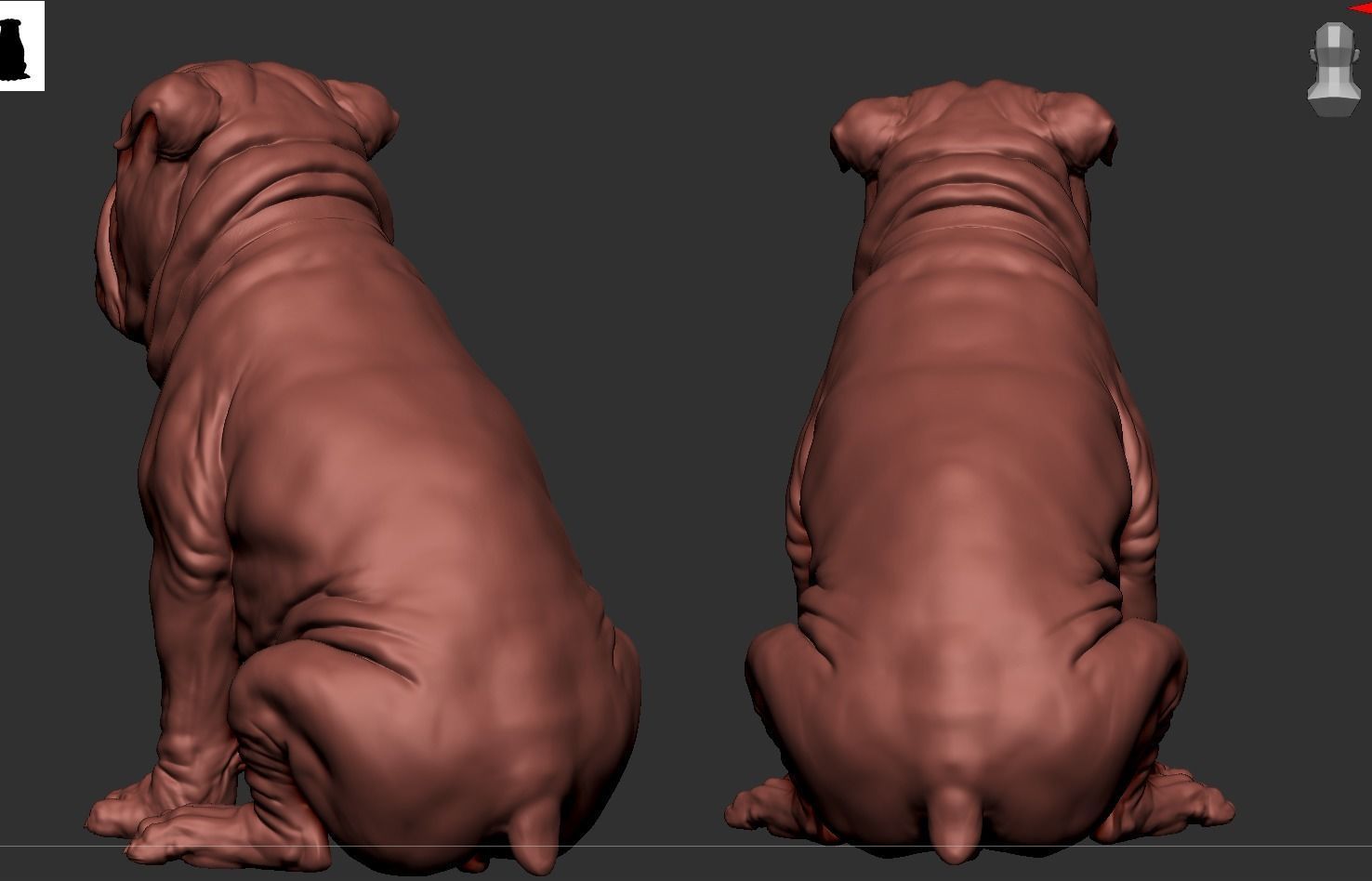 Bulldog 3D print model_10