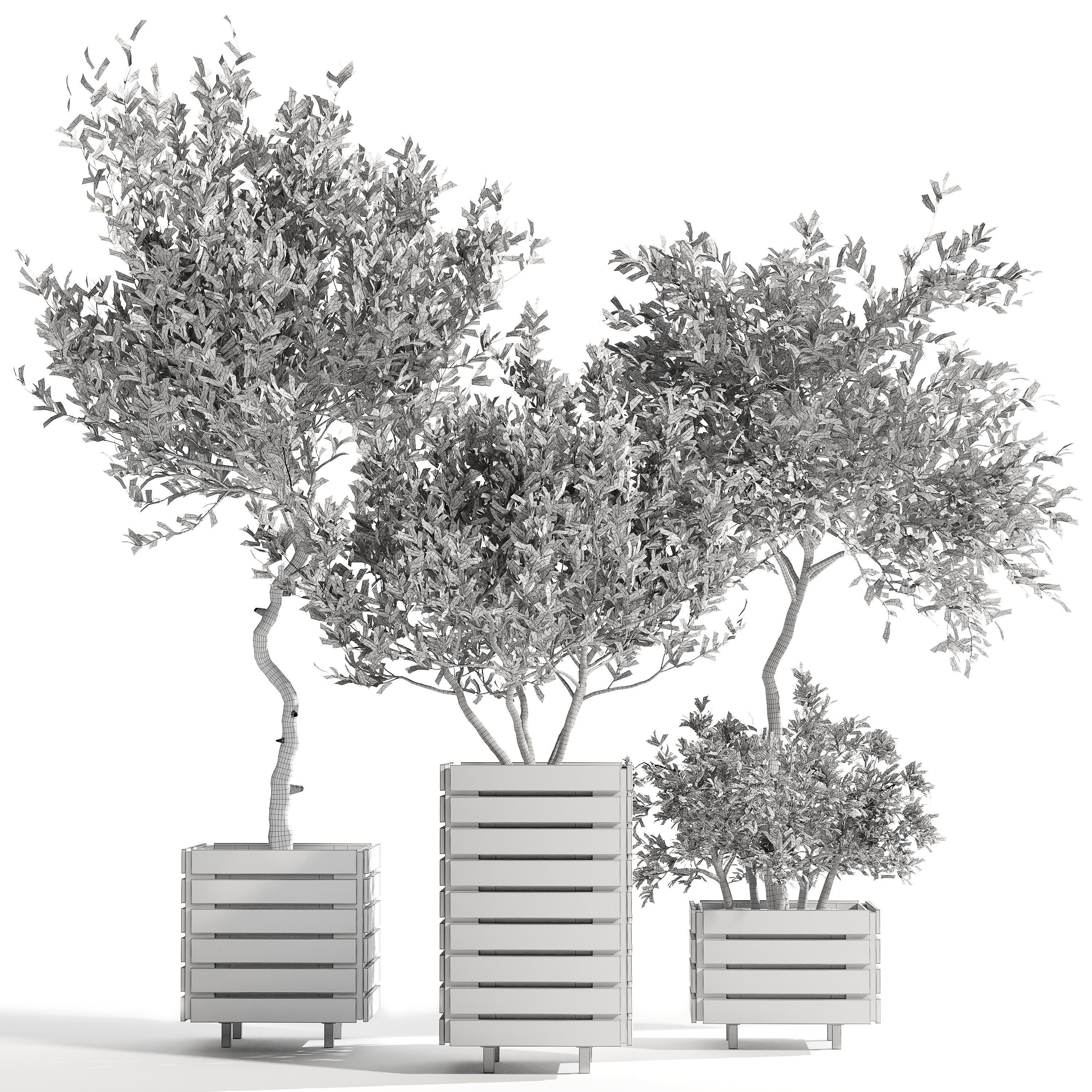 Indoor plant collection 17 3D model_2