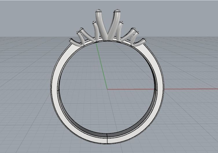 Ring 975 3D print model_6