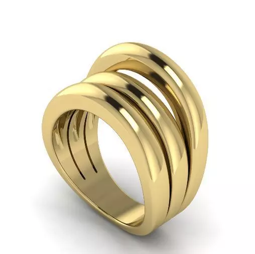 Ring 974 3D print model_0