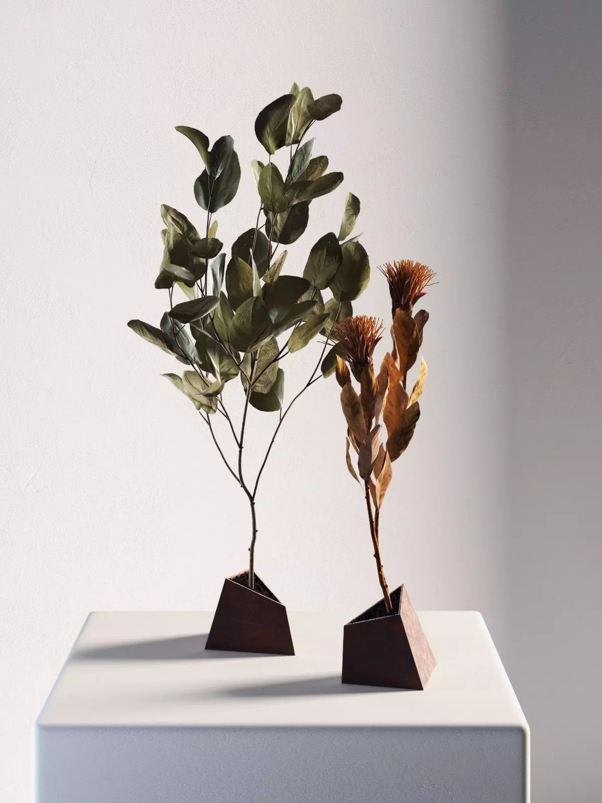 Ikebana 5 two eucalyptus trees on table 3D model_0
