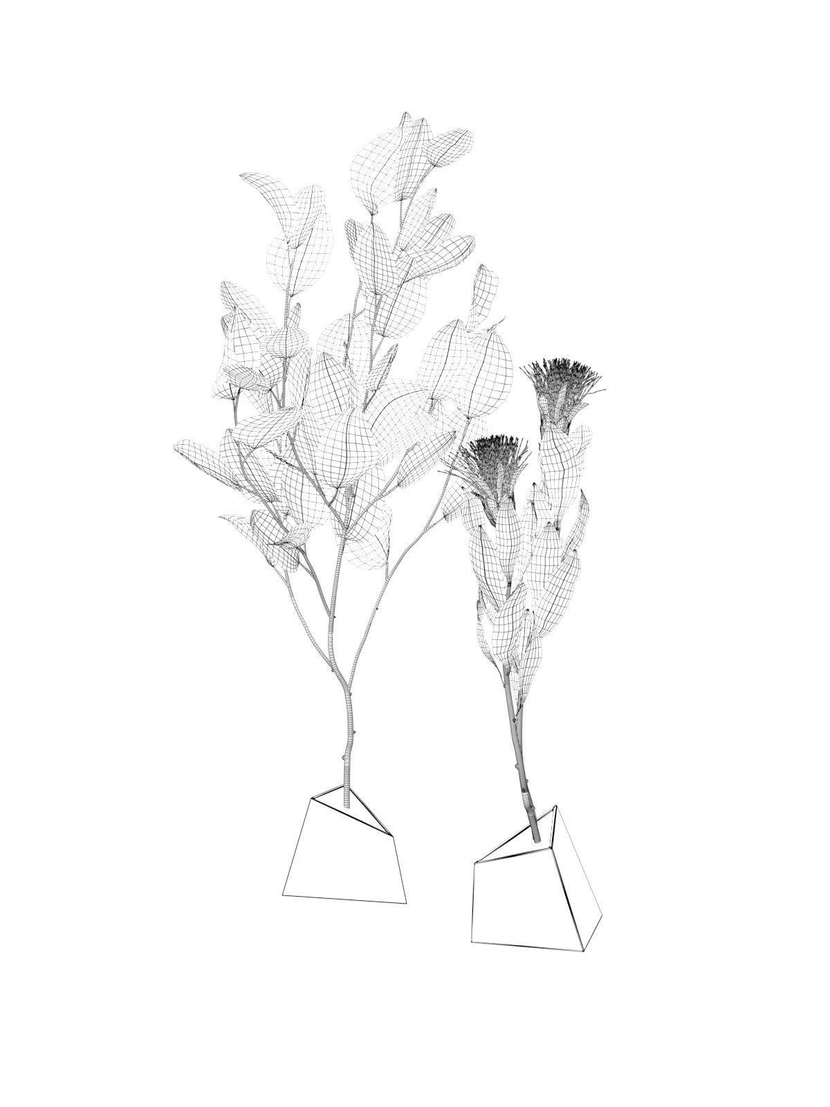 Ikebana 5 two eucalyptus trees on table 3D model_3