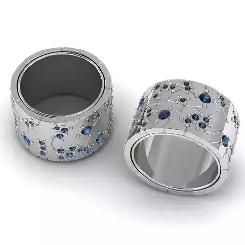 Ring 993 3D print model