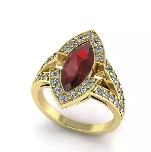 Ring 1009 3D print model