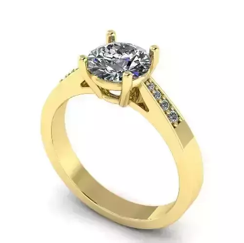 Ring 1013 3D print model