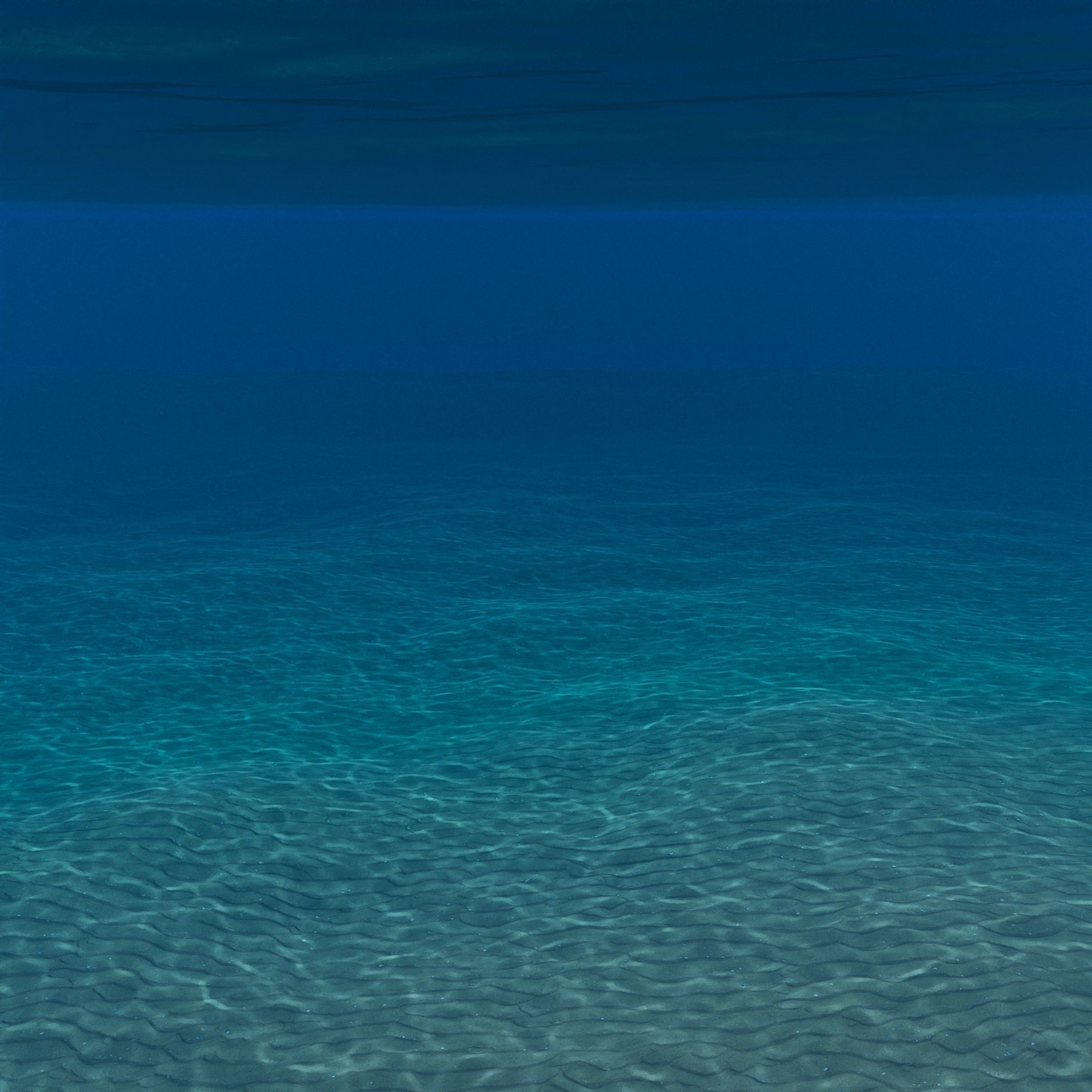 Underwater ocean scene 3D model_2