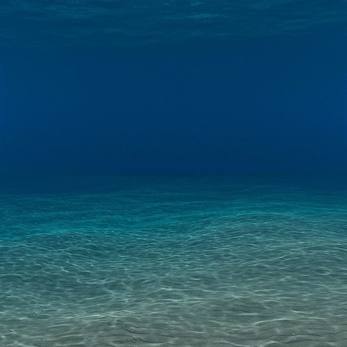 Underwater ocean scene 3D model