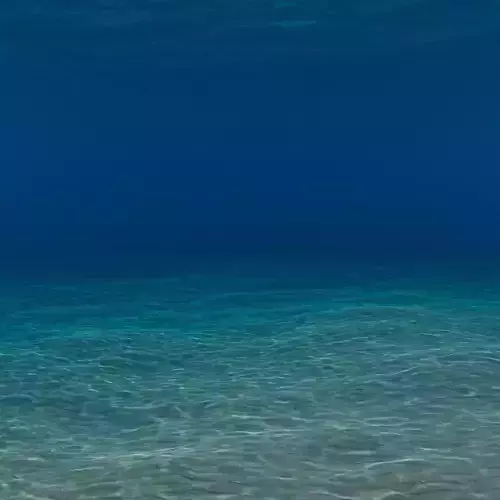 Underwater ocean scene