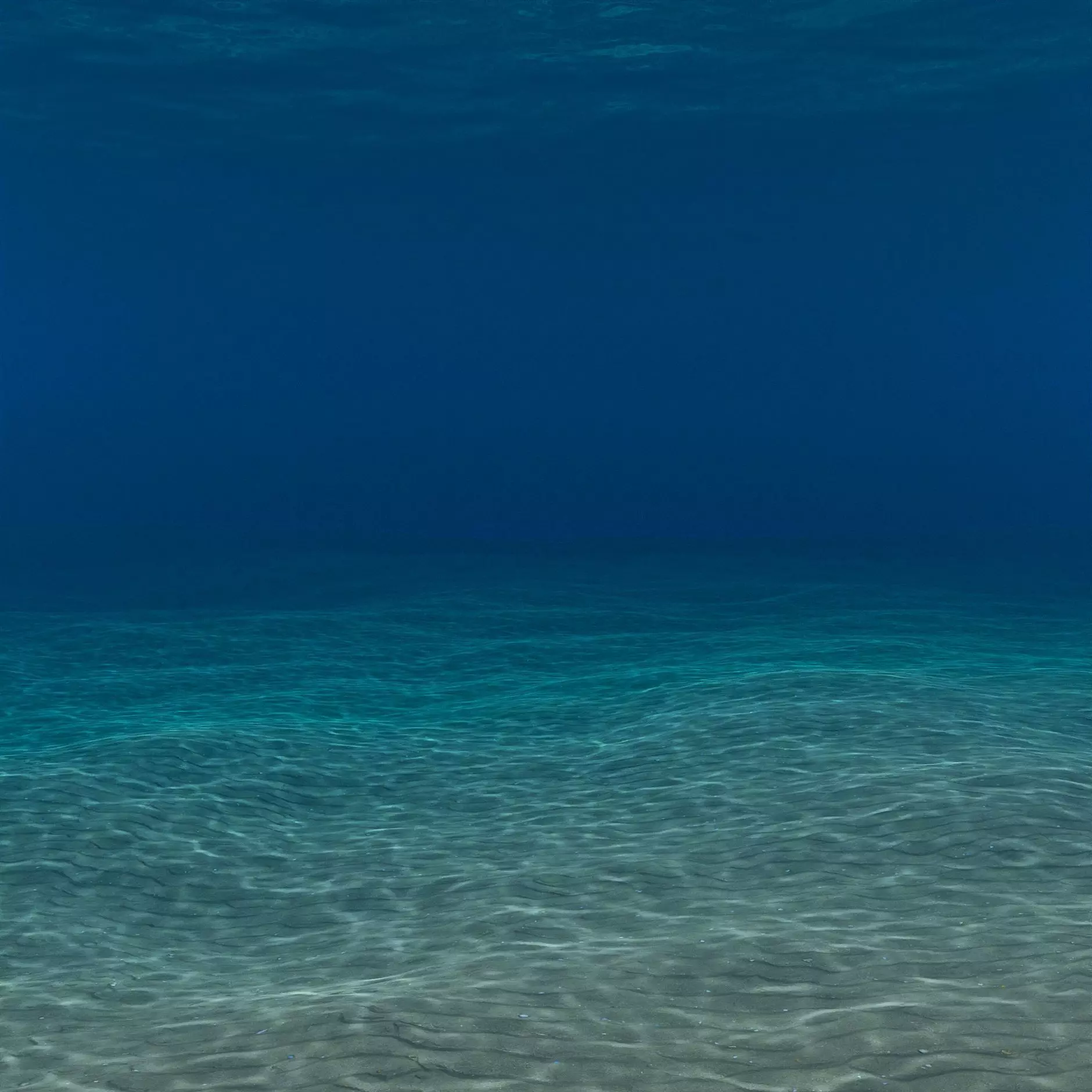 Underwater ocean scene 3D model_0