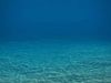 Underwater ocean scene 3D model_1