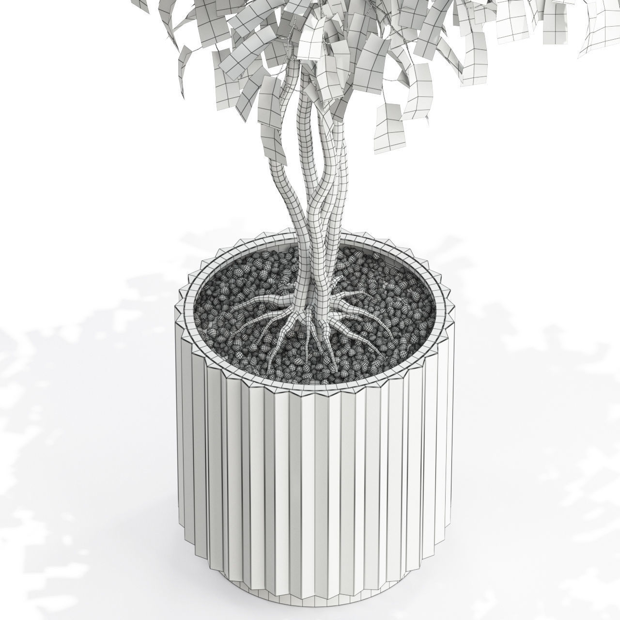Plants collection 581 3D model_3