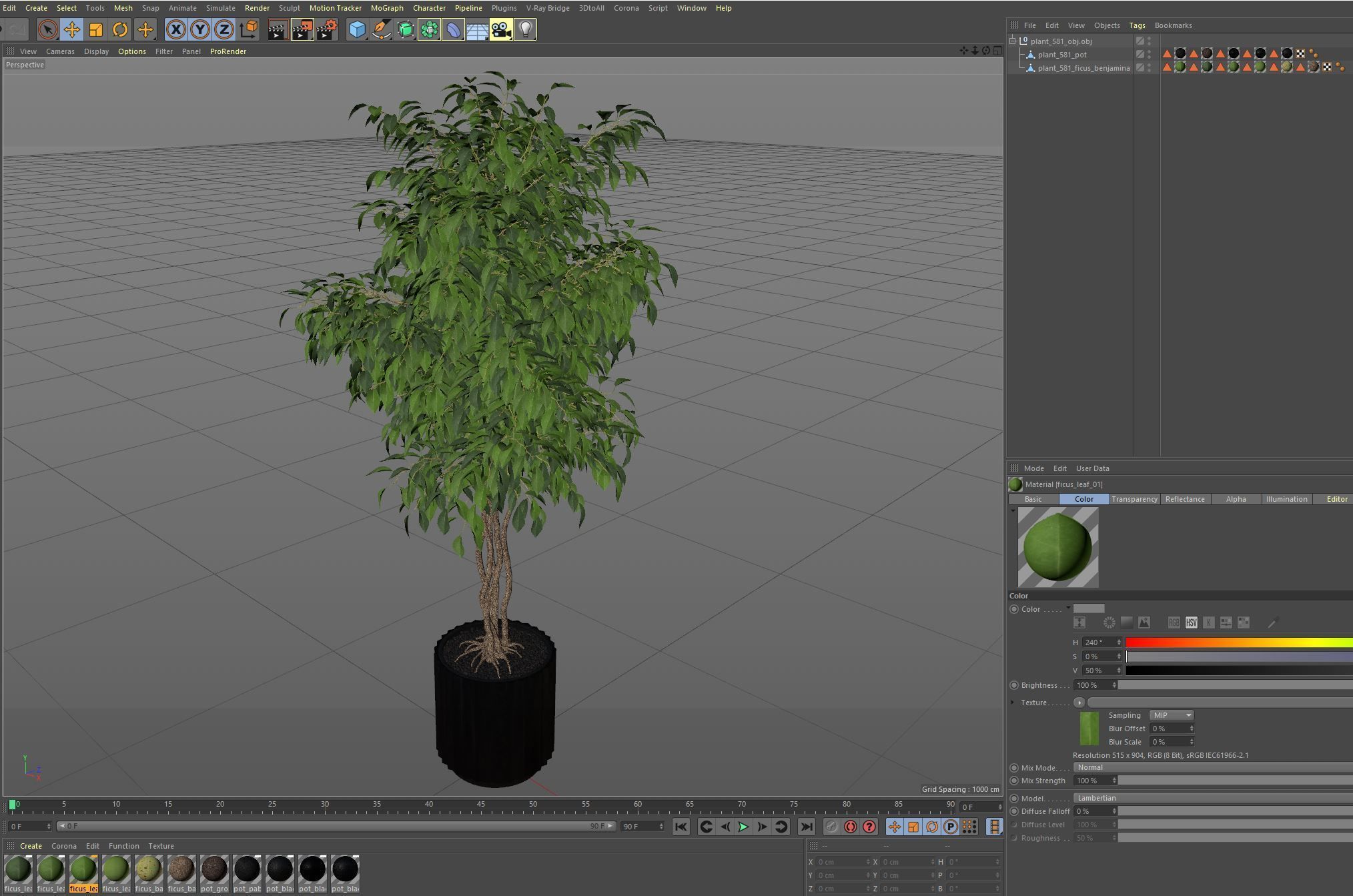 Plants collection 581 3D model_6